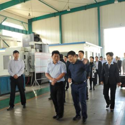 全市金融系統(tǒng)企業(yè)現(xiàn)場觀摩團蒞臨公司參觀指導工作